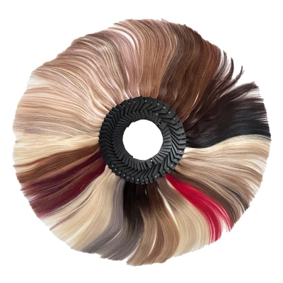 Farbring & Probesträhnen