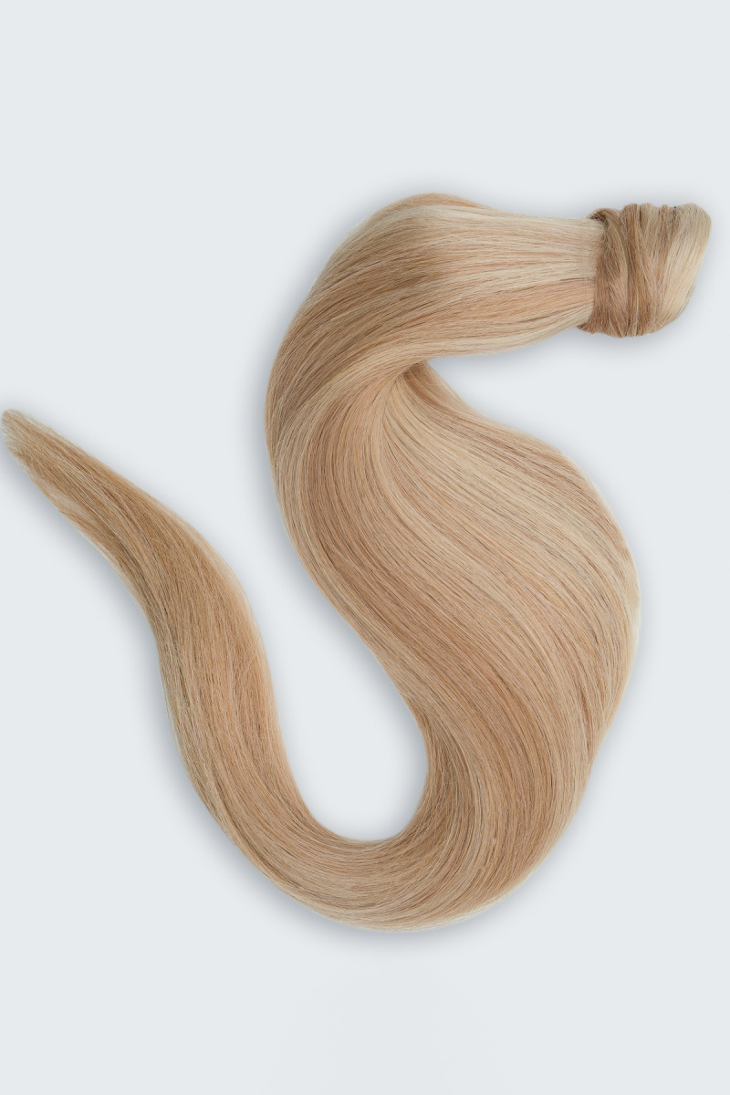 Ponytail Highlights