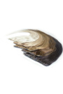 Clip In Nahtlos Balayage 45 cm Farbe N° T4/20 [5 cm]