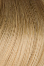 Invisible Wefts Balayage 45 cm Colour N° T4/20 [5 cm] [50 g]